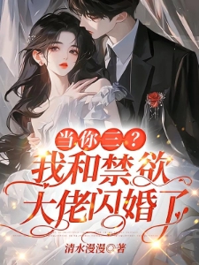 当你三？我和禁欲大佬闪婚了